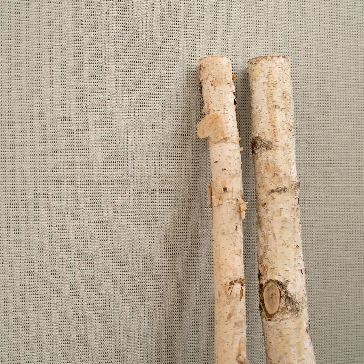 Birch wallcovering by Vescom