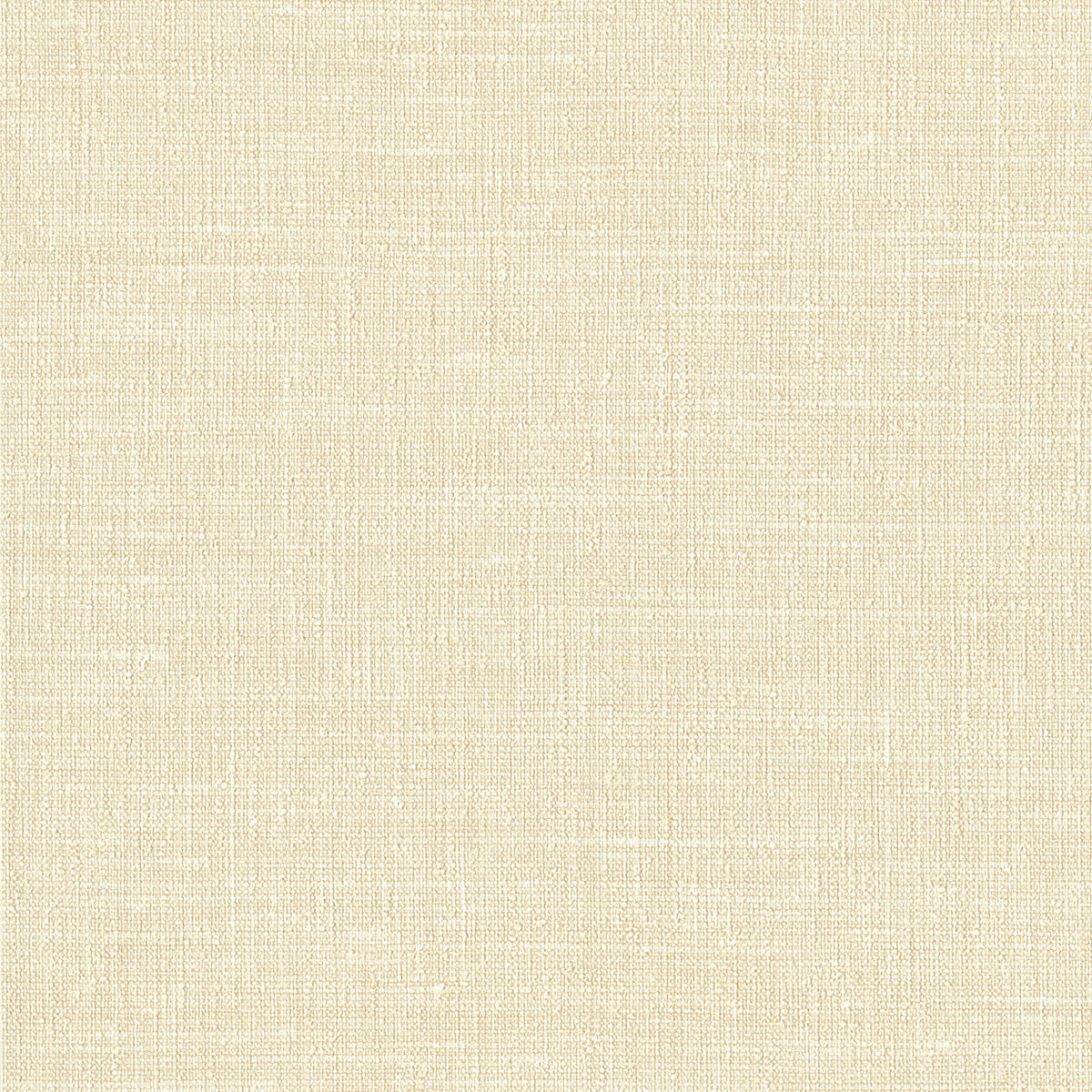 Lino 2026