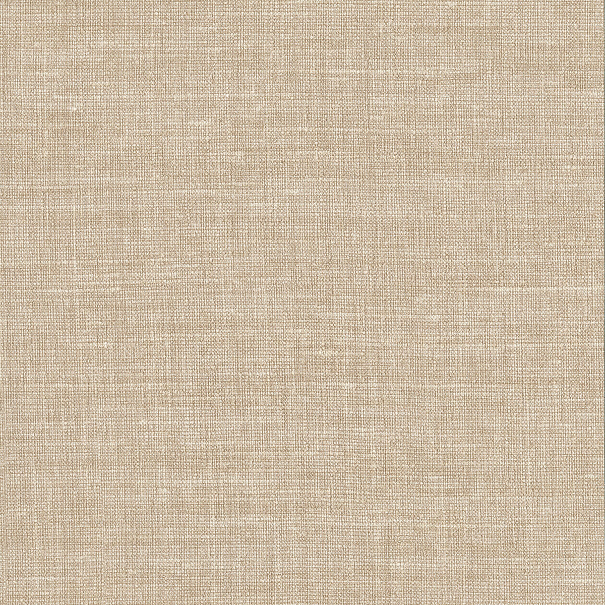 Lino 2026
