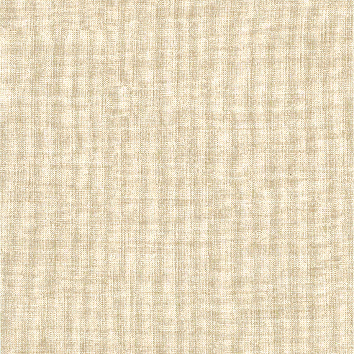 Lino 2026