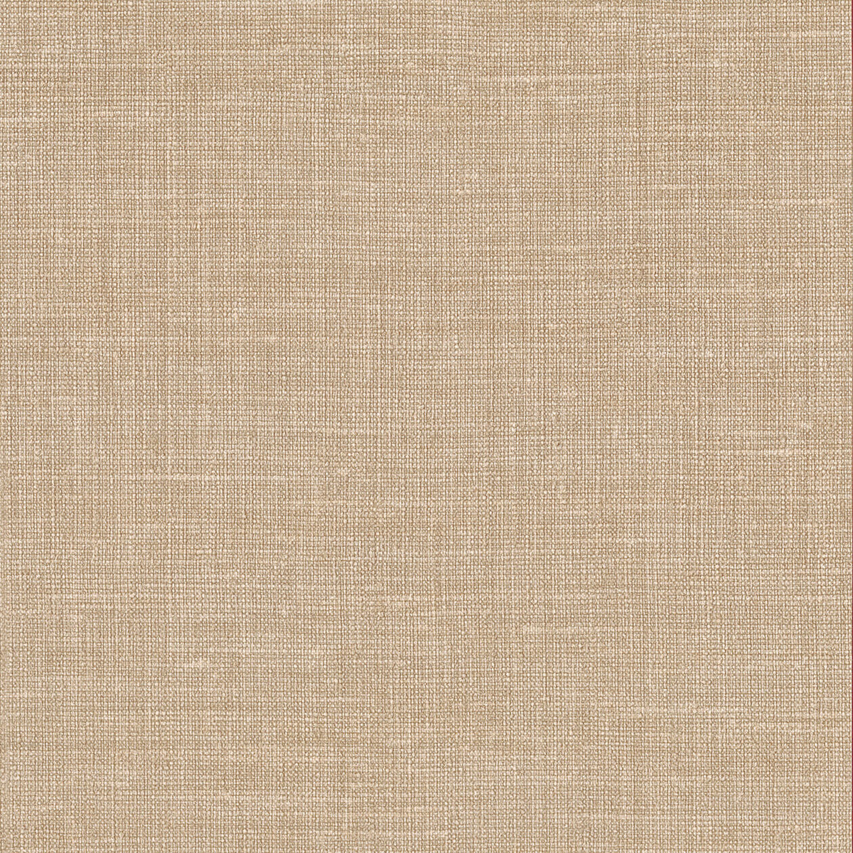 Lino 2026