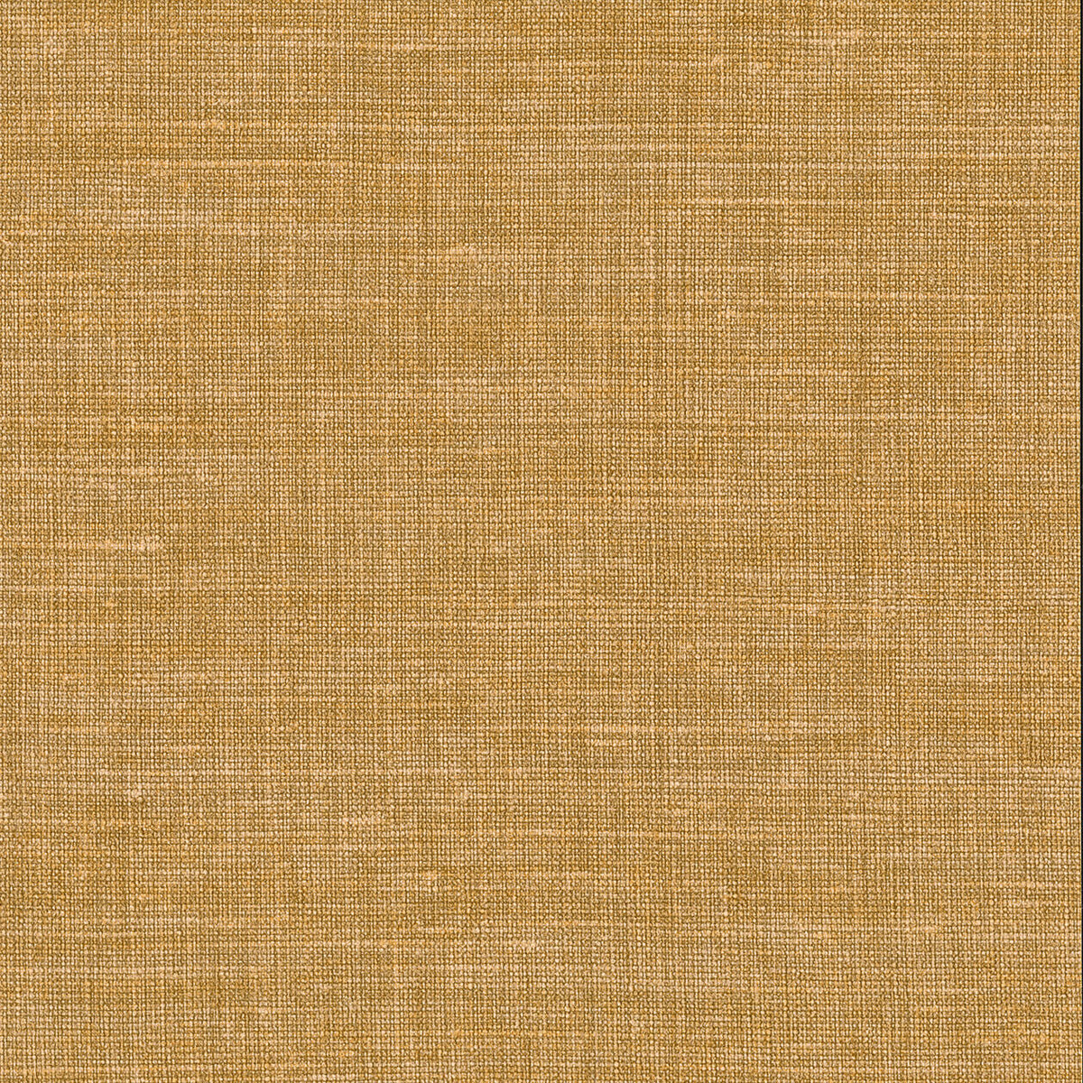 Lino 2026