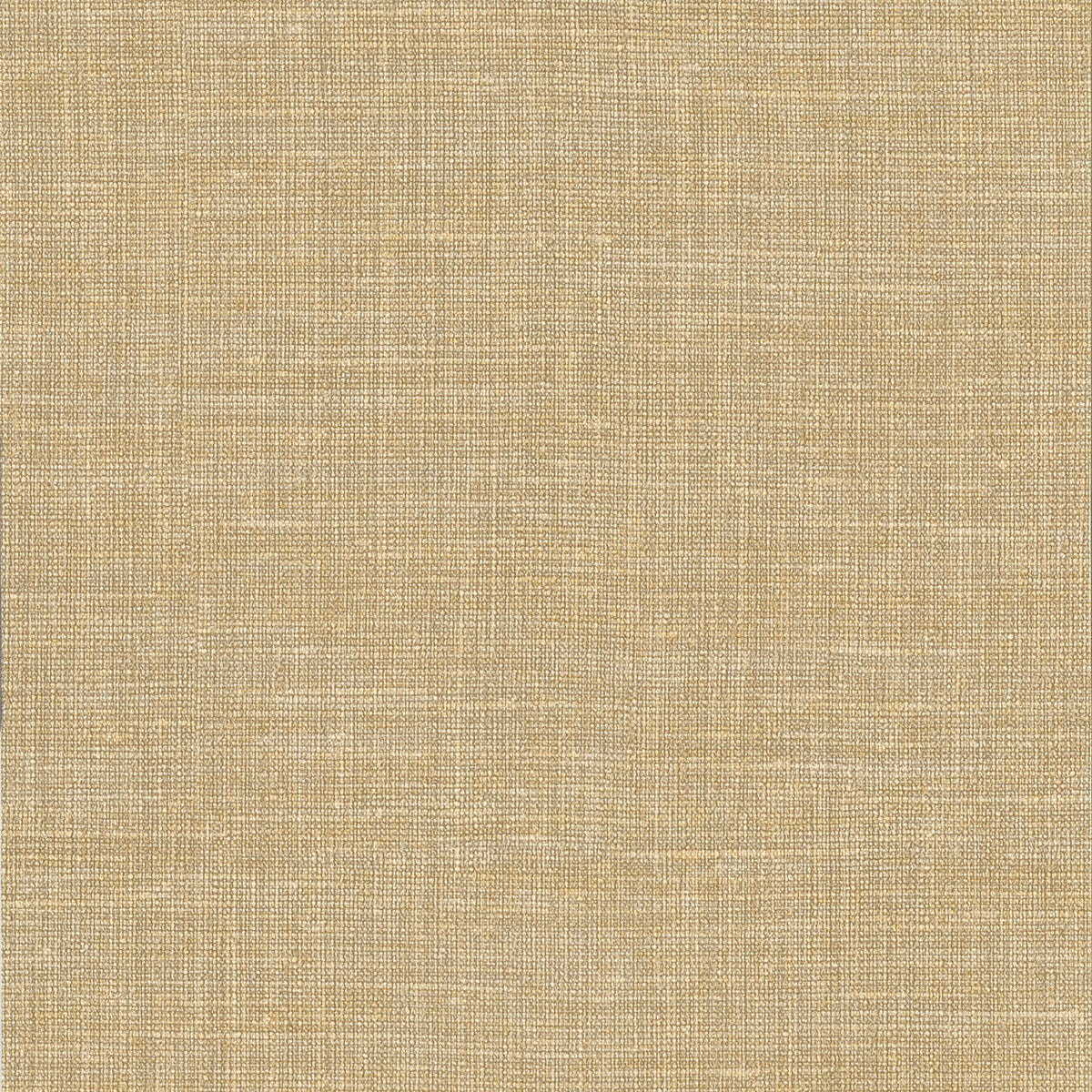 Lino 2026