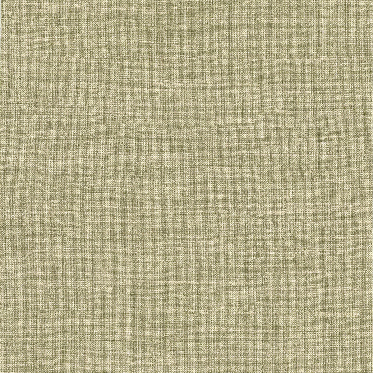 Lino 2026