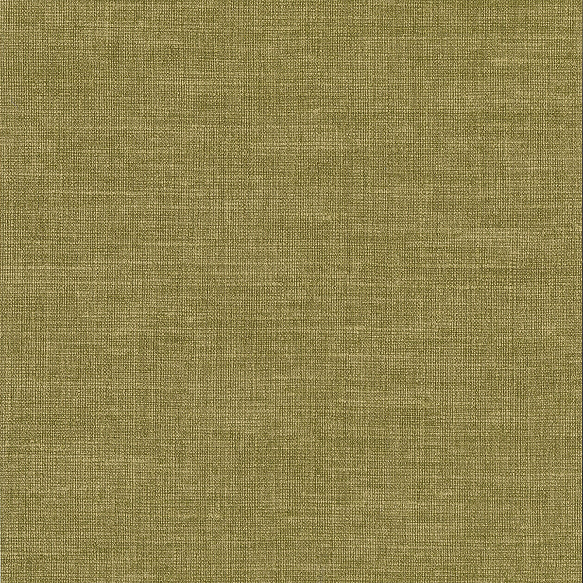 Lino 2026