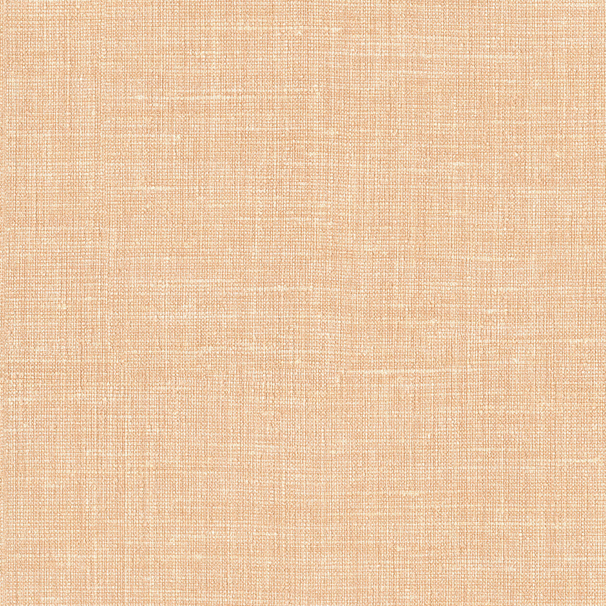 Lino 2026