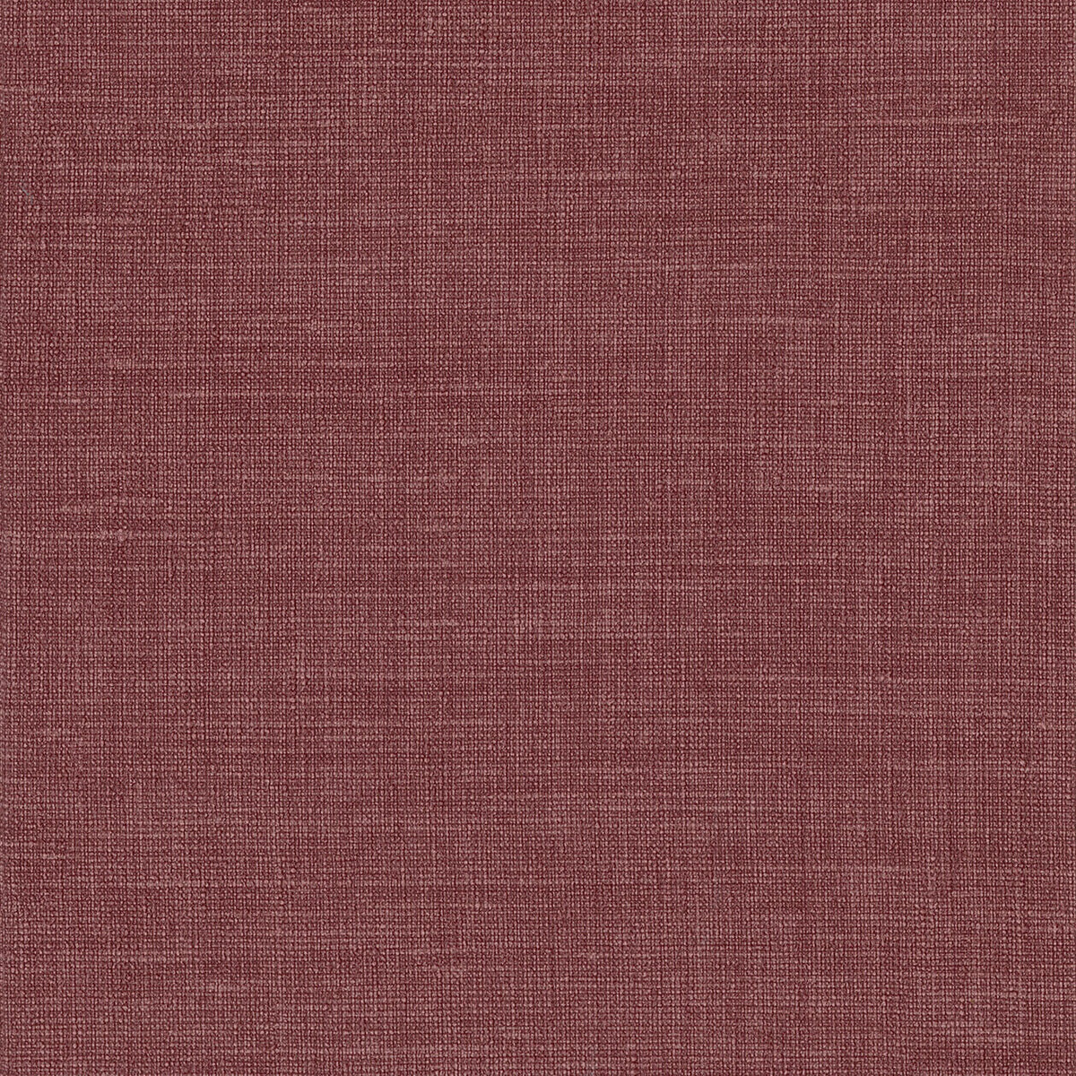 Lino 2026