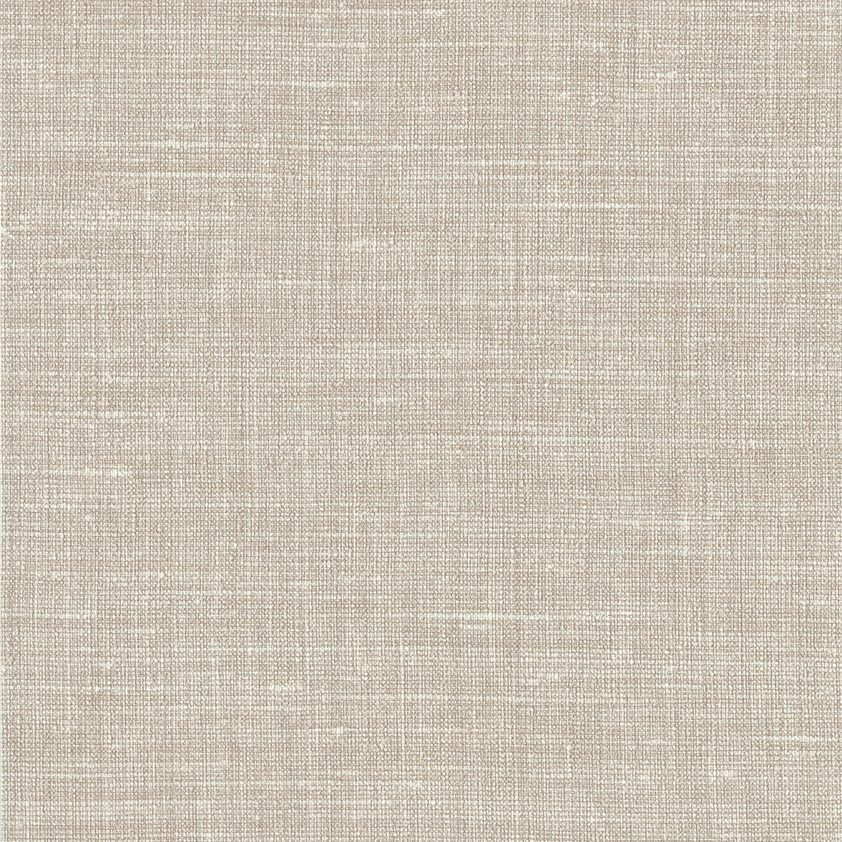 Lino 2026