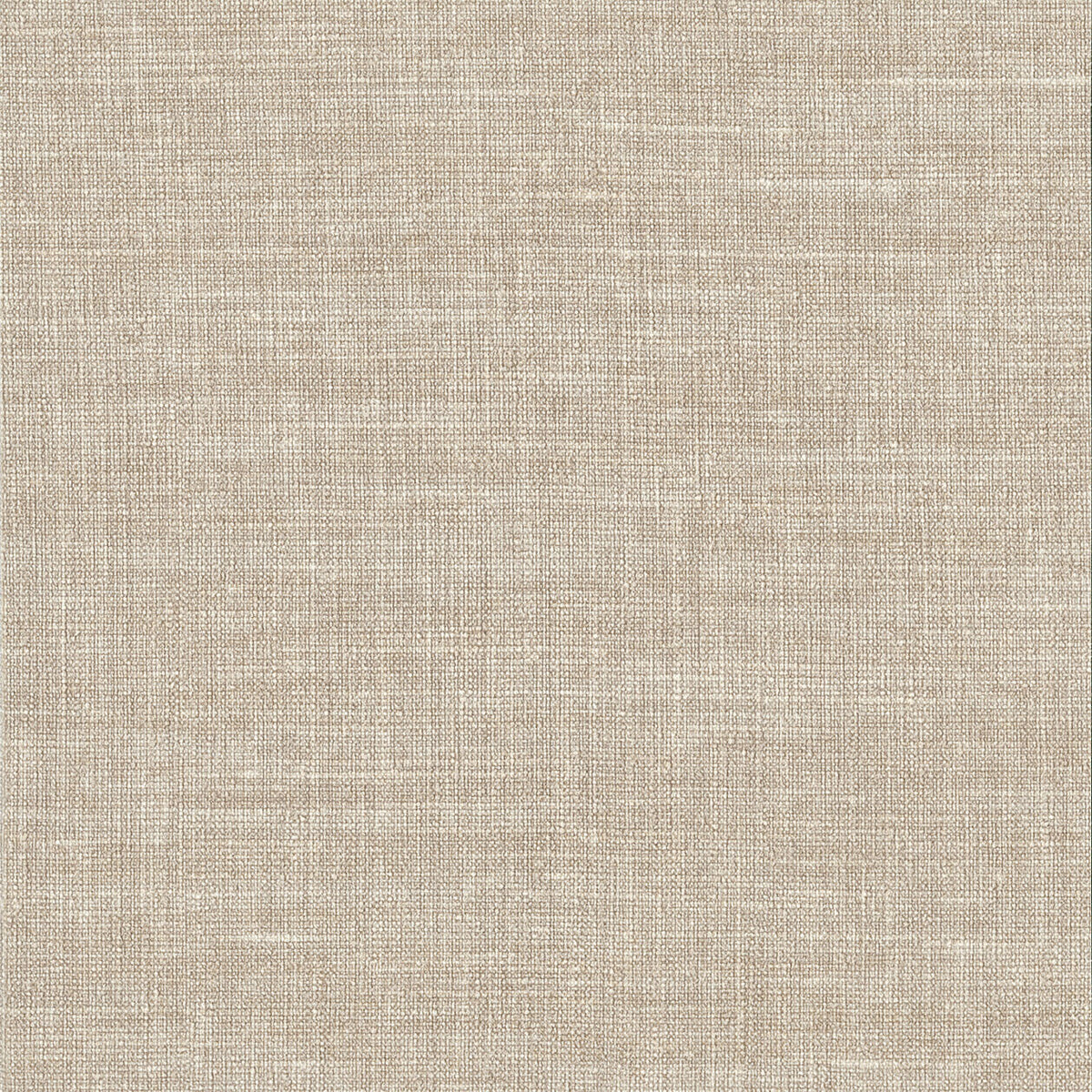Lino 2026