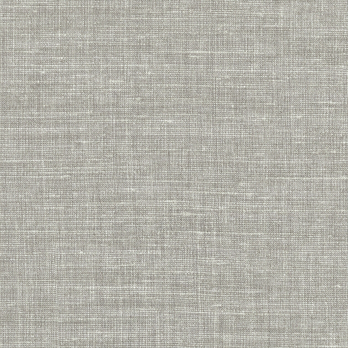 Lino 2026