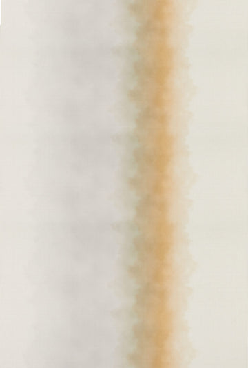 AZ53205