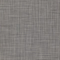  AZ53436