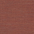  AZ53467