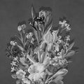  Flourish Mono Grey