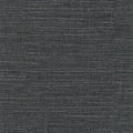  AFP06-338