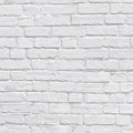  Bricks Whitewashed