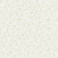  Lines Lime