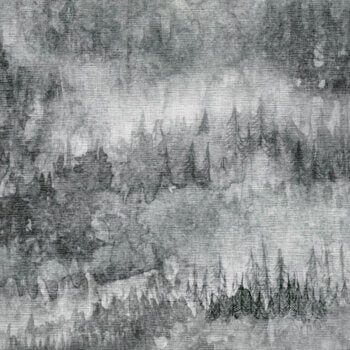 Cedar