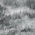  CED 001 FROST