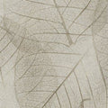  LVS 001