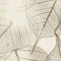  LVS 006