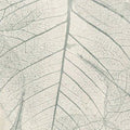  LVS 007