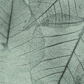  LVS 008