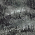  CED 002 STORM