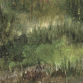  CED 005 EVERGREEN
