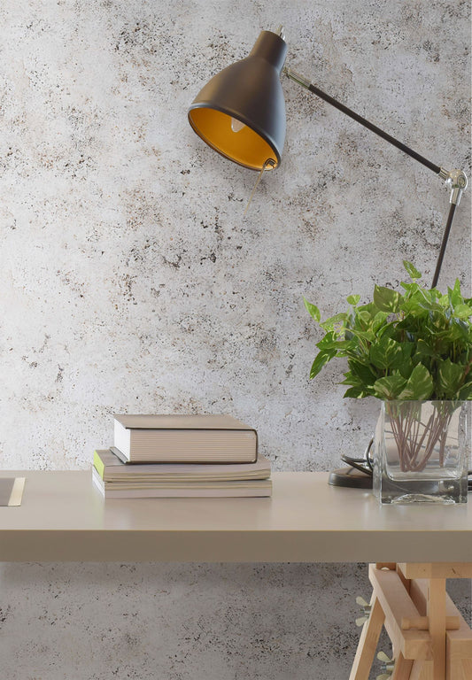 Raw Surfaces – Plaster