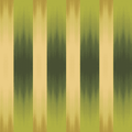  Alacha Lime