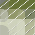  Snowden-Olive