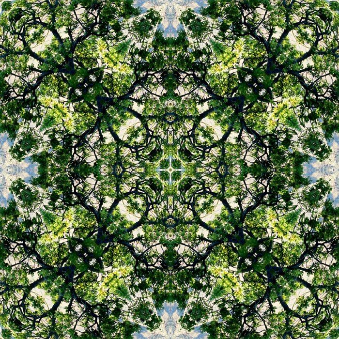 Iona Crawford – Wilderness