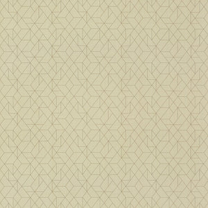 Angles - Y47572 - Wallcovering - Vycon - Kube Contract