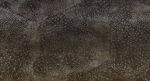 Ad Astra in Charcoal - Cobalt - MU12013 - Digital Print - Muance - Kube Contract