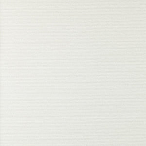 Allure - Y46639 - Wallcovering - Vycon - Kube Contract