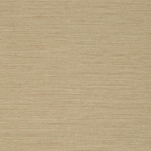 Charisma - Y46372 - Wallcovering - Vycon - Kube Contract