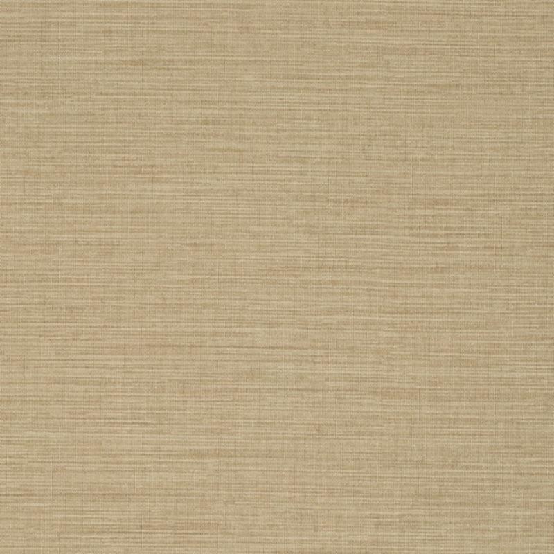 Charisma - Y46372 - Wallcovering - Vycon - Kube Contract