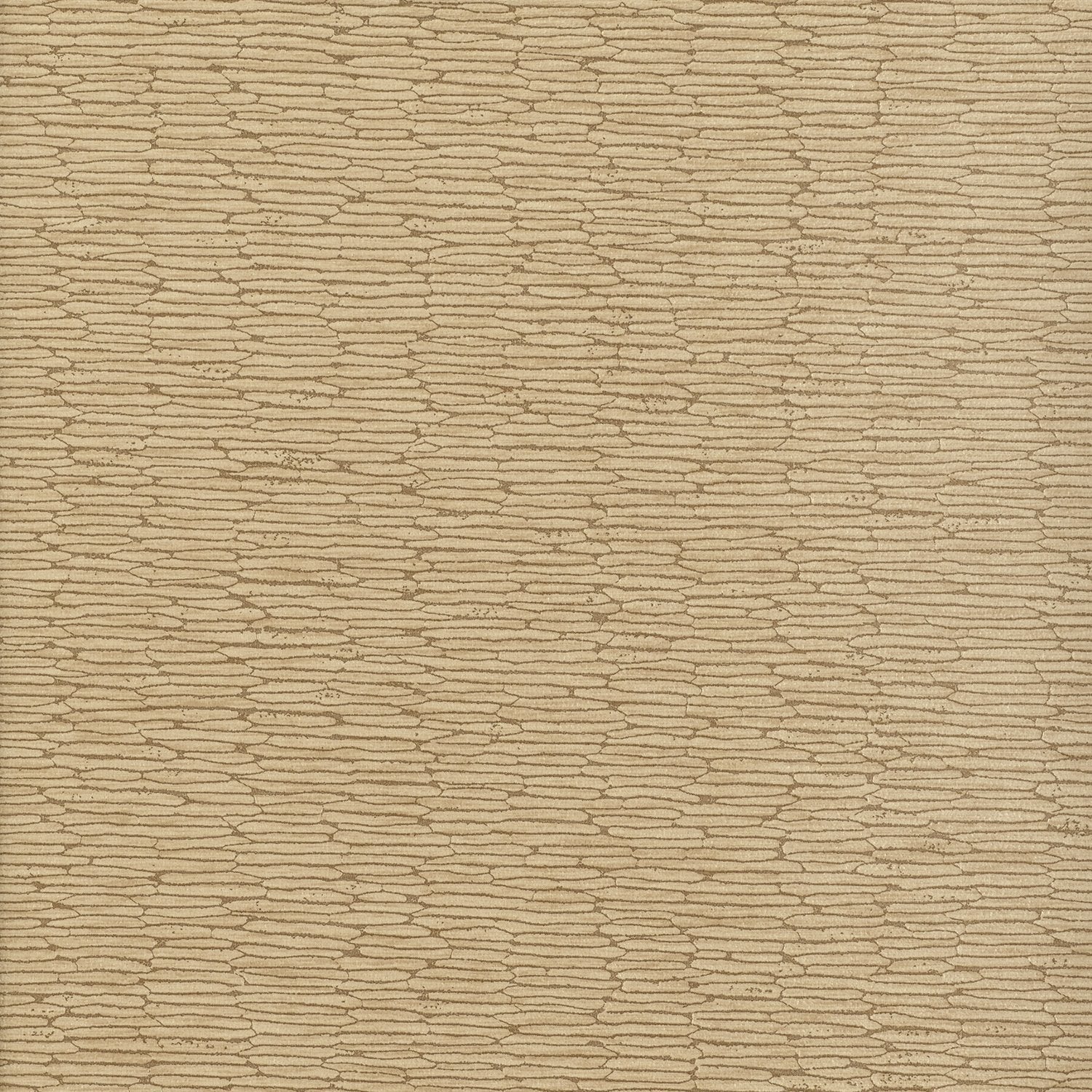 Chipper - Y46855 - Wallcovering - Vycon - Kube Contract