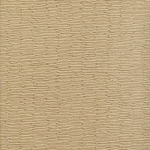 Chipper - Y46855 - Wallcovering - Vycon - Kube Contract