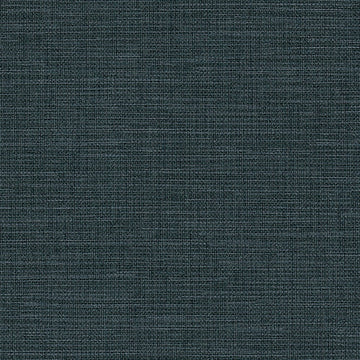 ABS09-306