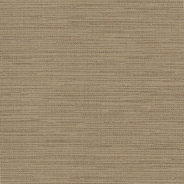 ABS09-426