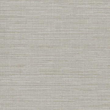 ABS09-823