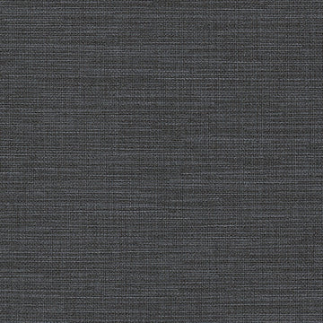 ABS09-897