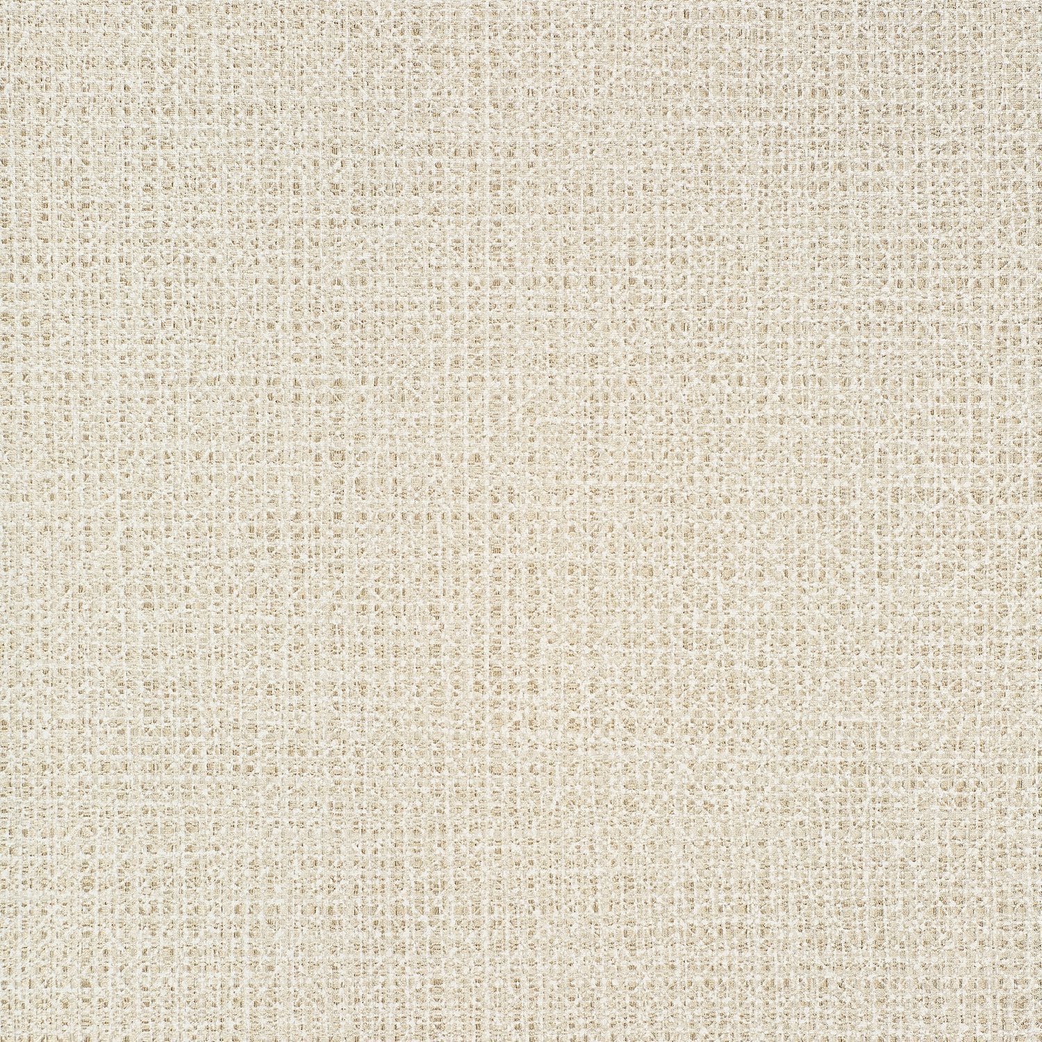 Divine - Y47636 White Gold - Wallcovering - Vycon - Kube Contract