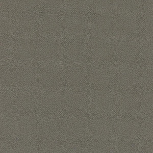 Dune - DNE90239612 - Wallcovering - Texdecor - Kube Contract