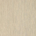  T2-EM-06