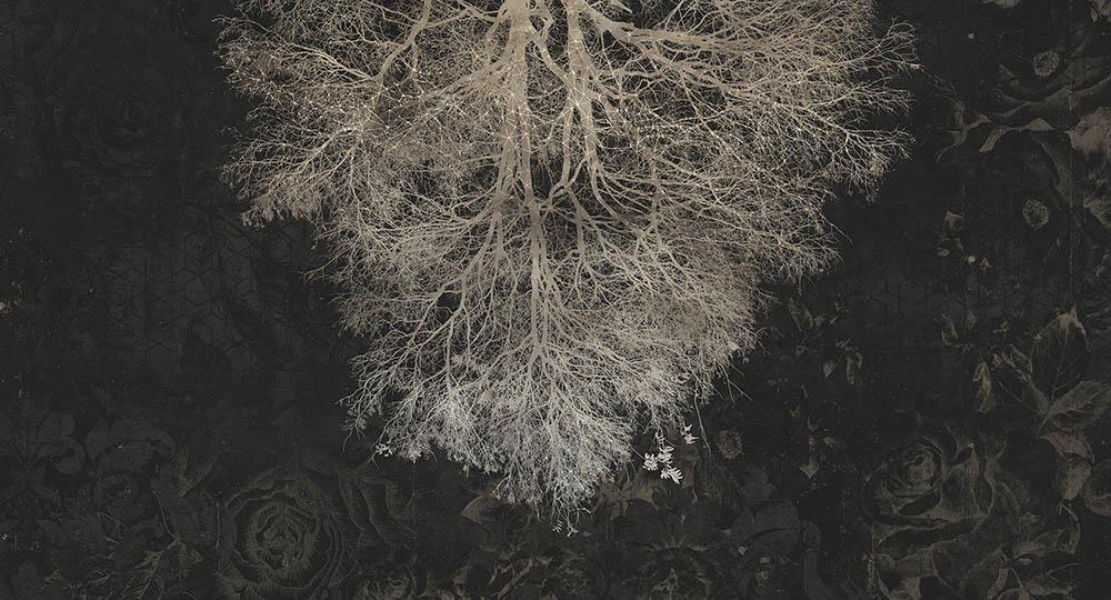 Expansion Theory in Black - Cobalt - MU12031 - Digital Print - Muance - Kube Contract