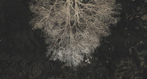 Expansion Theory in Black - Cobalt - MU12031 - Digital Print - Muance - Kube Contract