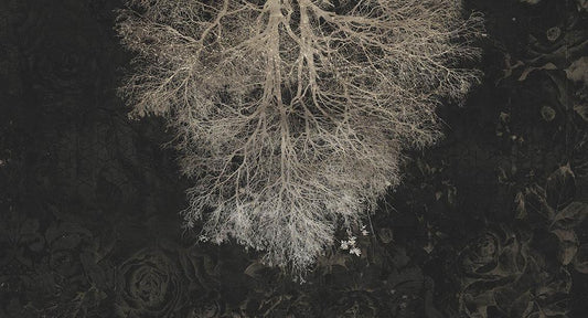 Expansion Theory in Black - Cobalt - MU12031 - Digital Print - Muance - Kube Contract